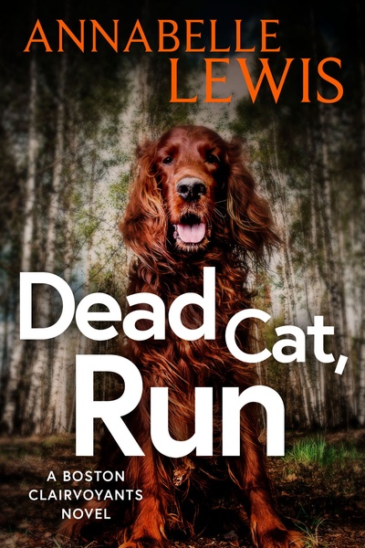Dead Cat, Run by Annabelle Lewis